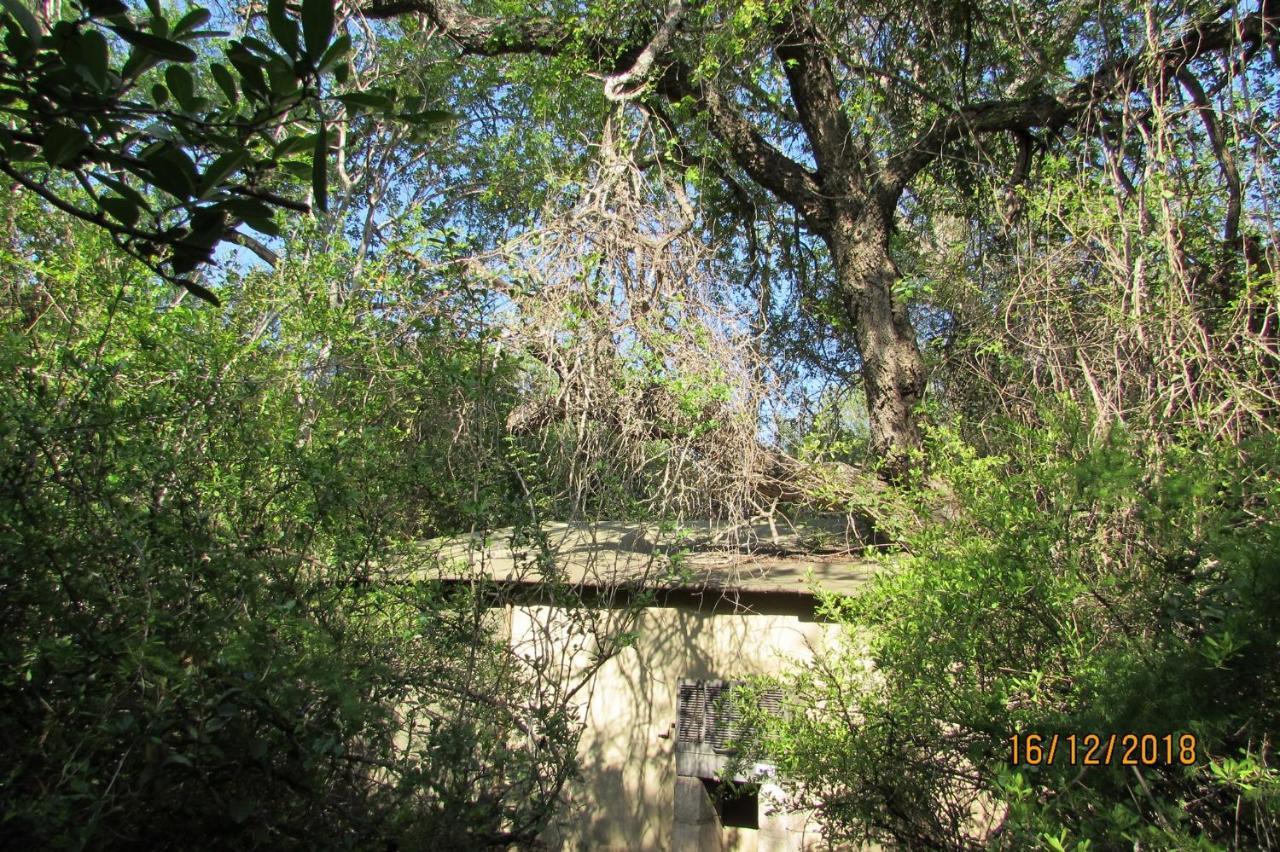 Amanzimlotzi Riverside Bush Camp Hoedspruit Exterior photo